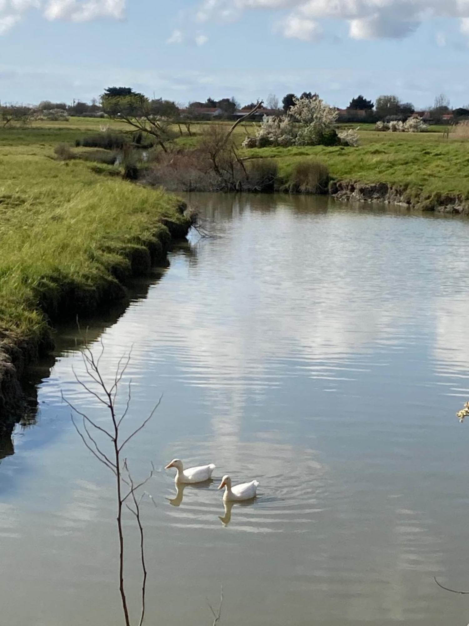 La Maison Des Marais De Sallertaine المظهر الخارجي الصورة
